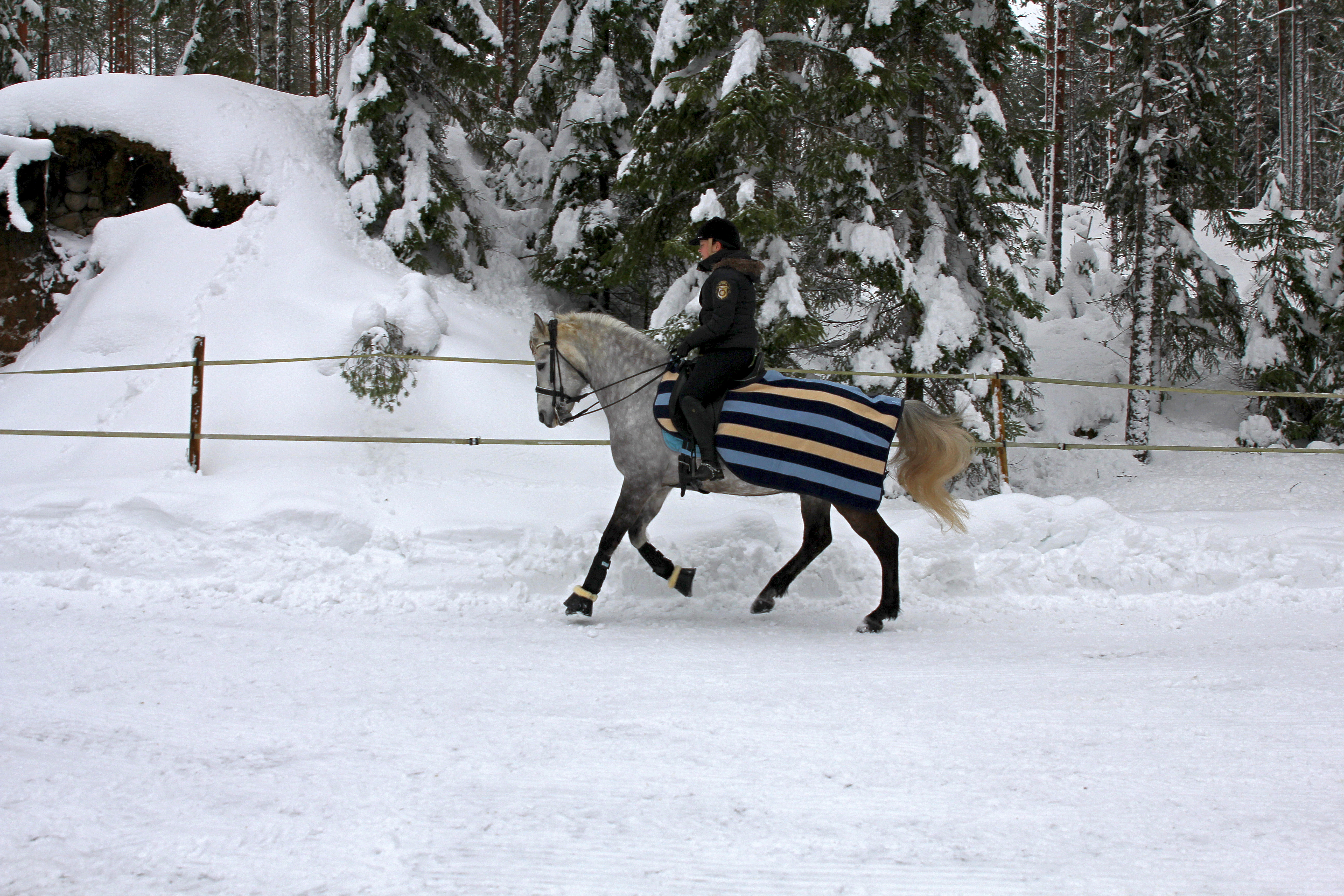 Stable Lockängen