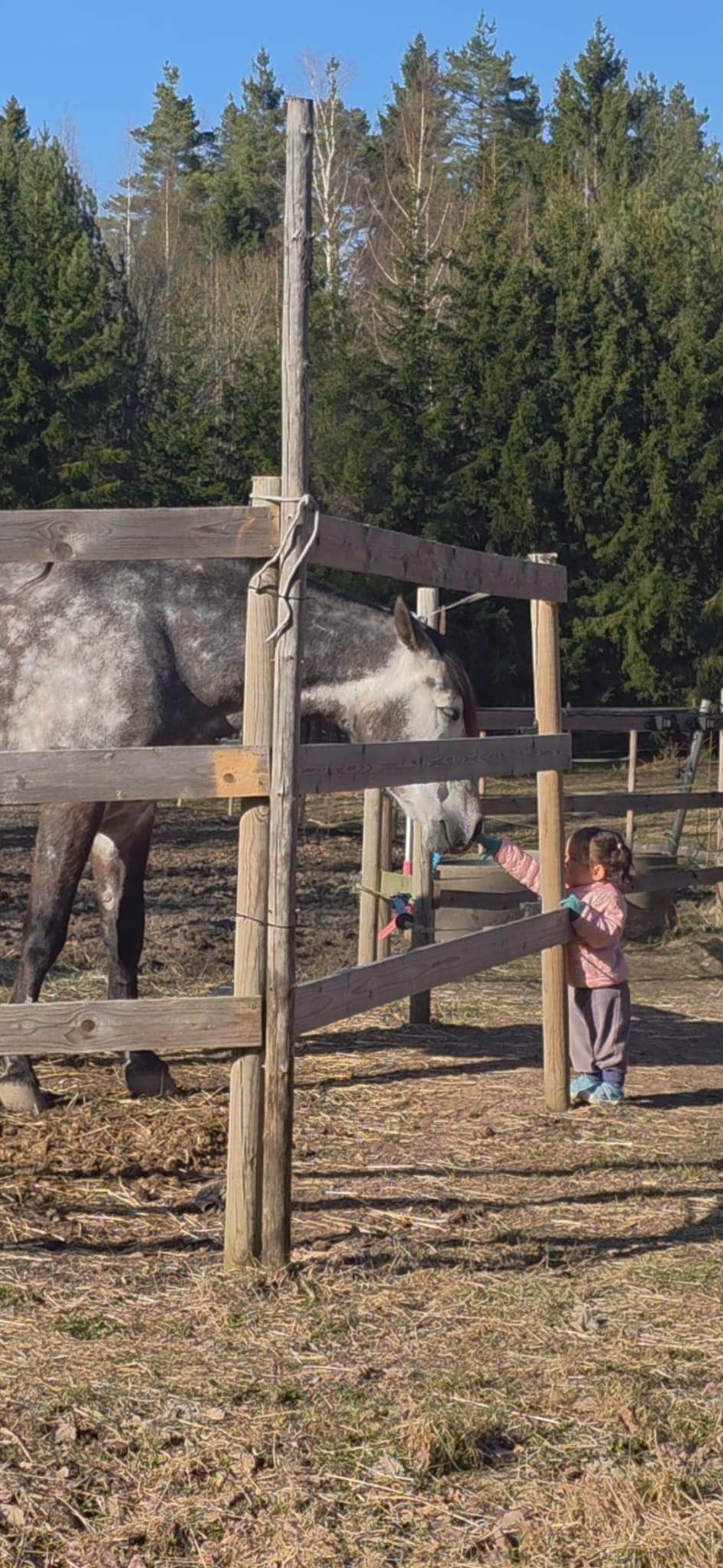 Stable Lockängen