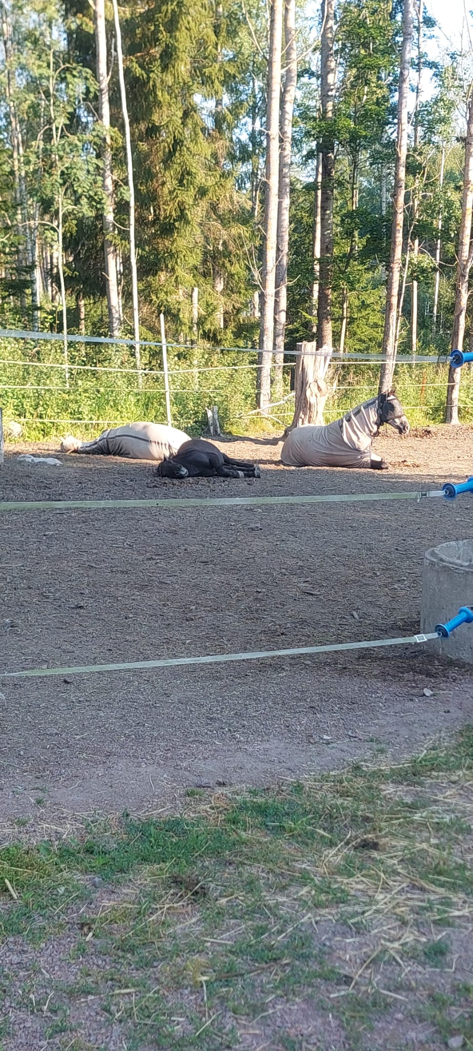 Stable Lockängen